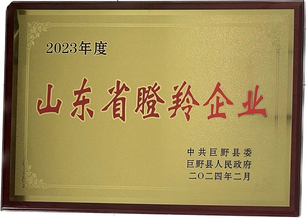 山东省瞪羚企业